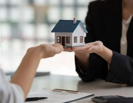 Real estate support and consultancy services